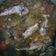 Cooksnap dari Haryo Manano untuk resep Sop ikan gabus