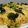 Khushbu Abhani's cooksnap of when they made ઢોકળા(dhokla recipe in gujarati).