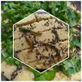 Shalini Verma का कुकस्नैप जब उन्होंने ढोकला (Dhokla recipe in hindi) बनाया था।