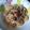 Cooksnap dari Indriasari Malida untuk resep Egg tofu + enoki saus tiram