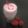 Deepika Parmar's cooksnap of when they made સ્ટ્રોબેરી મિલ્કશેક (STRAWBERRY MILKSHAKE RECIPE IN GUJARATI).