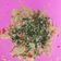 Cooksnap dari Rundi City untuk resep Urap sayur / Kluban