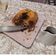 El cooksnap de Gregorio Haro cuando hizo Pollo relleno con castañas, ciruelas y piñones.