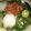 Cooksnap dari Partini untuk resep Kapurung Ikan