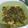 Cooksnap dari Atin Aja untuk resep Sayur Daun Singkong bumbu kuning