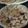 Anupa Prajapati's cooksnap of when they made પુરણ પૂરી (Puran Puri Recipe In Gujarati).