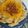 El cooksnap de Pablo Sanx cuando hizo Fideos con salsa de zapallo (+ cebollas caramelizadas).