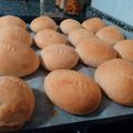 El cooksnap de Carmen Guadalupe Altomonte cuando hizo Figacitas de Manteca de panadería bien caseras!!.