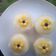 Cooksnap dari Fauziah Adnan Ummu Sarah untuk resep Puding Jagung Vla Santan_Ide Jualan