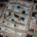 El cooksnap de Milagros Ramirez cuando hizo Masa de Tarta salada Fácil.