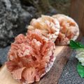 Cooksnap dari Desy Chamim untuk resep Bikang (Carabikang)