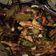 Cooksnap dari Kamayel untuk resep Ikan Pindang Cabe Ijo