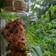 Cooksnap dari abualfath untuk resep 903. Banana Oat Cookies (Camilan Diet)