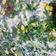 Cooksnap dari ra.fa untuk resep Sayur Bobor Bayam Segarrr