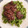 El cooksnap de Jona cuando hizo Tallarines con Salsa Pesto Albahaca 🌿.
