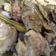 Cooksnap dari Faridhatul Aliyah untuk resep Ayam Ungkep Bumbu Kuning