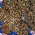 El cooksnap de roci22 cuando hizo Galletas de avena, naranja y chocolate.