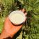 Fatyma saeed's cooksnap of when they made Mayonnaise - Bama.