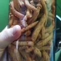 Cooksnap dari Yuni Boy untuk resep Cheese Stick Empuk & Renyah (Tanpa Telur)