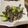 原來是庭庭呀 的 爆炒雞心、雞胗 cooksnap
