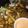 El cooksnap de Guille Gomez cuando hizo Papas bravas al aioli picante JB🦀.