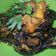 Cooksnap dari Ulva Nurjayanti untuk resep Belut rica favorit paksu