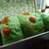 Cooksnap dari Bunda nadia untuk resep Roti Sobek Kukus Pandan