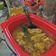 Cooksnap dari Dofa Laily untuk resep Sop ayam klaten ala pakmin