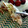 El cooksnap de Cook_and_Jud cuando hizo Maxi tortitas 3 ingredientes.