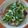 Hsuan 的 香菇炒水耕A菜 cooksnap