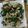 Ryan Wu 的 炒蛤蜊 cooksnap