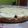 El cooksnap de Yoga Pitrufquén cuando hizo Kuchen de arándanos y crema casera.