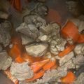 Cooksnap của lan lê khi họ làm theo món Thịt kho củ cải và cà rốt