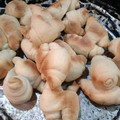 El cooksnap de 🤟 cuando hizo Pan con grasa.
