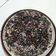 Cooksnap dari Rosiana Sari untuk resep Blackforest kukus takaran sendok,irit, lembut