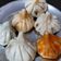 Ruchi Mishra का कुकस्नैप जब उन्होंने स्टीम मोदक (Steam Modak recipe in Hindi) बनाया था।