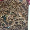 Cooksnap dari Nurina Widyastutie untuk resep Yakisoba (Mie Goreng Jepang) (🇯🇵) 焼きそば