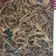 Cooksnap dari Nurina Widyastutie untuk resep Yakisoba (Mie Goreng Jepang) (🇯🇵) 焼きそば