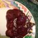 El cooksnap de Ferny Varela cuando hizo Albóndigas al Chipotle a la Sonorense.