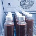Cooksnap dari Citra Dewanggi S. untuk resep #117. Pudot Coklat yang nyoklat Banget
