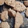 La cooksnap de Tomi cuando cocinó Galletas de avena y almendras 🌱
