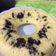 Cooksnap dari Eko Rini Murtiningsih untuk resep Bolu kukus keju
