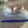 Tanner Tripp's cooksnap of when they made Blueberry Muffins.