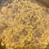 Elyse Rose's cooksnap of when they made Ground Beef Stroganoff.