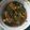 Cooksnap dari Indah Poppy Hofiana untuk resep Ayam Woku