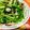 江湖小俠 的 空心菜炒好菇道 cooksnap