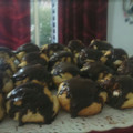 El cooksnap de Pedro Mastropaolo cuando hizo Profiteroles de nata con chocolate caliente.