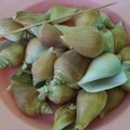 Cooksnap dari Siti Zuhdiyatul Husna untuk resep Siput Gonggong Rebus cocol Sambal anti Amis/Alot Khas Batam | Kepri