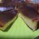 Cooksnap dari Ariesta Widaningrum untuk resep 84. Burnt Basque Cheesecake Ekonomis