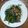 Cooksnap dari eriecha Darsim untuk resep Baby Pakcoy Cah Bawang Putih